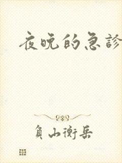 夜晚的急诊室2