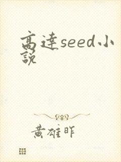 高达seed小说