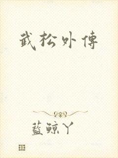 武松外传