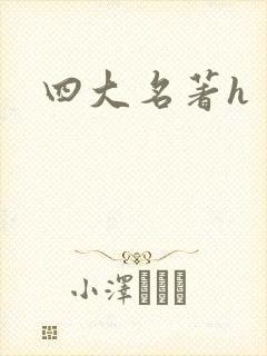 四大名著h封面
