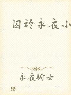 囚于永夜小说封面