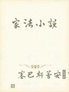 家法小说封面