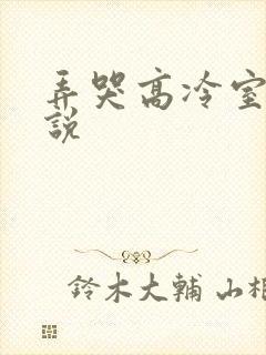 弄哭高冷室友小说封面