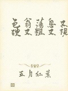 色翁荡息又大又硬又粗又视频图片