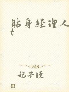 贴身经理人txt