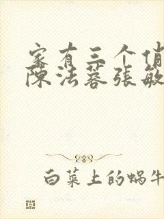 家有三个俏媳妇陈法蓉张敏