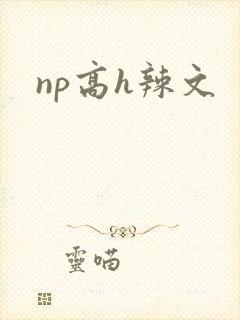 np高h辣文