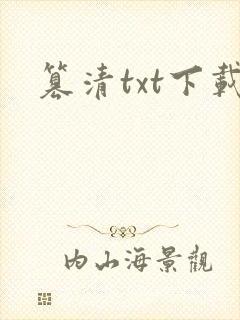 篡清txt下载封面