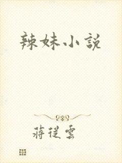 辣妹小说