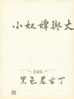 小奴婢与大少爷封面
