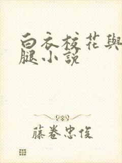 白衣校花与大长腿小说