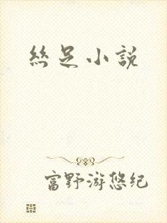 丝足小说封面