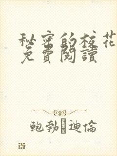 秘密的校花小说免费阅读