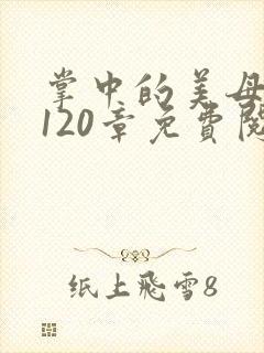 掌中的美母版主120章免费阅读封面
