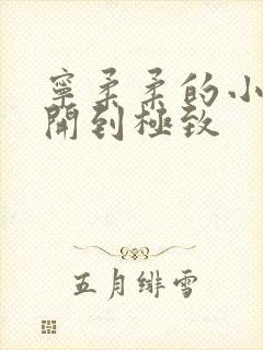 宁柔柔的小泬撑开到极致