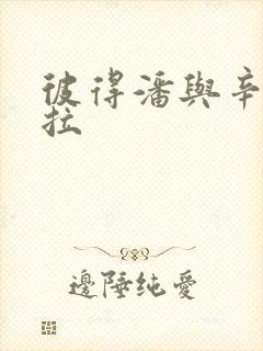 彼得潘与辛德瑞拉封面