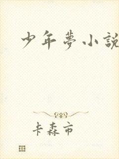 少年梦小说