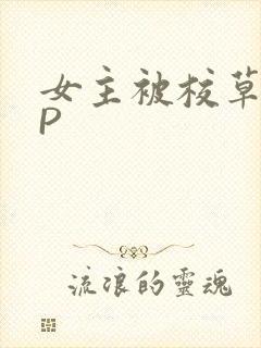 女主被校草们NP