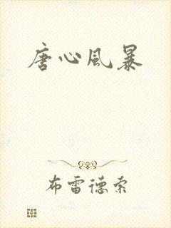 唐心风暴