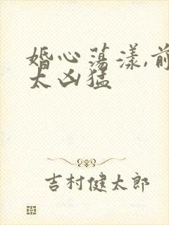 婚心荡漾,前夫太凶猛