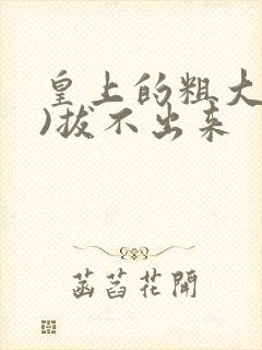 皇上的粗大(h)拔不出来