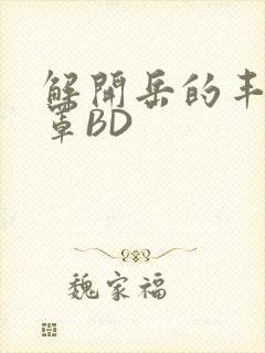 解开岳的丰满奶罩BD封面