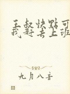 王叔快点可以吗我赶去上班