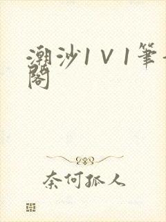潮沙1∨1笔趣阁