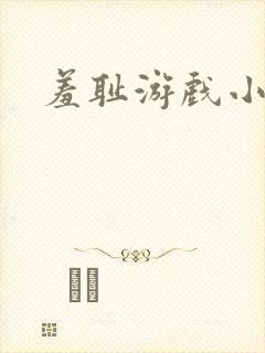 羞耻游戏小说