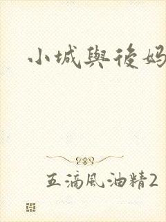小城与后妈封面