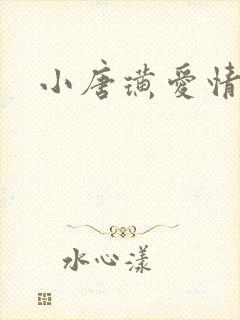 小唐璜爱情历史封面