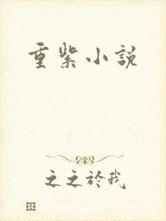 重紫小说