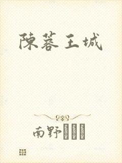 陈蓉王城封面