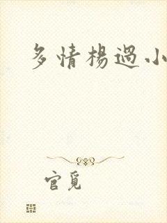多情杨过小说