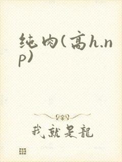 纯肉(高h.np)
