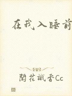 在我入睡前封面