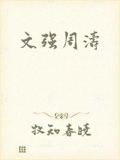 文强周涛