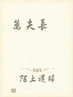 万夫长封面