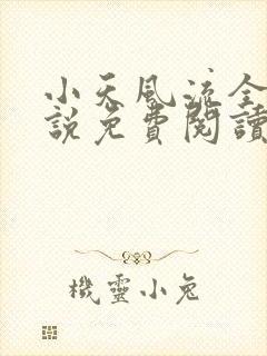 小天风流全集小说免费阅读
