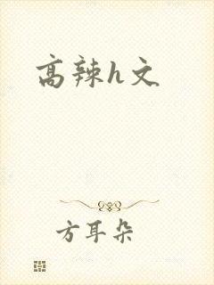 高辣h文封面