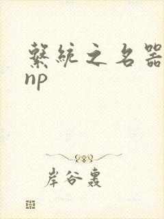 系统之名器攻略np