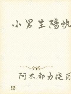 小男生阳帆