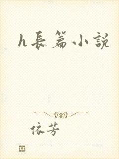 h长篇小说