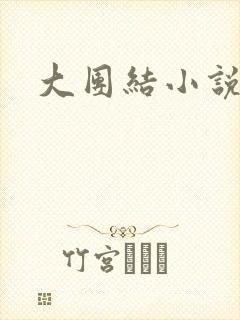 大团结小说下载