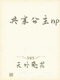 共享公主npc封面