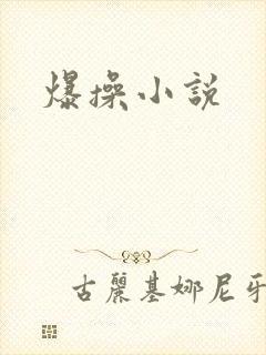 爆操小说