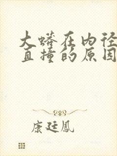 大蟒在内径横冲直撞的原因封面