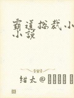 霸道总裁小娇妻小说封面