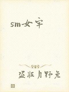 sm女牢