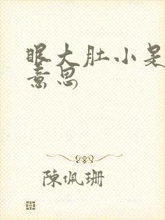 眼大肚小是什么意思